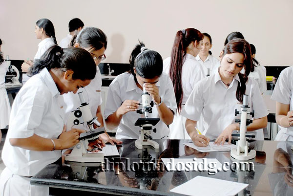 diplomado en laboratorio escolar Universidad Nacional de Educacion UNICA UNASAM San Marcos IDG